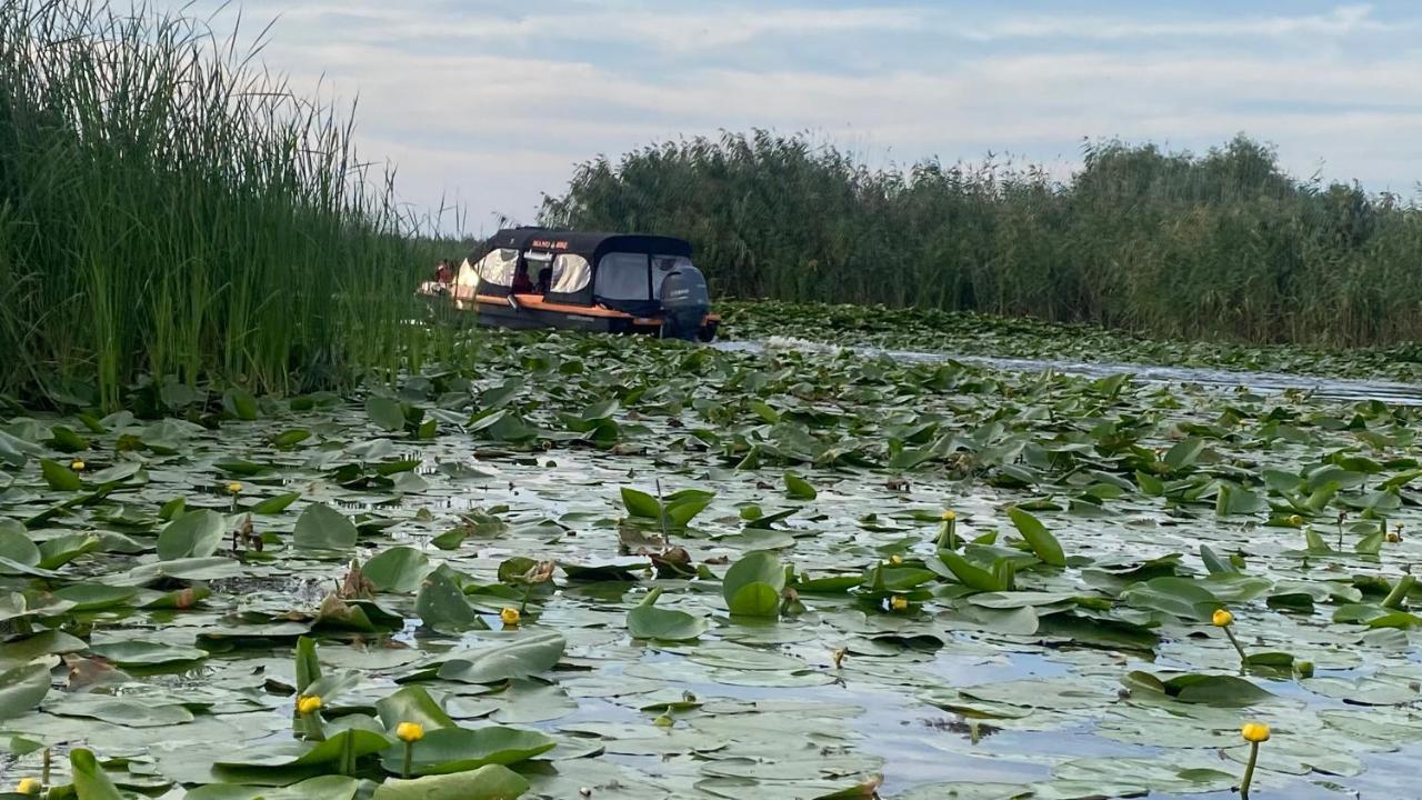 Manu B&B Murighiol Zewnętrze zdjęcie