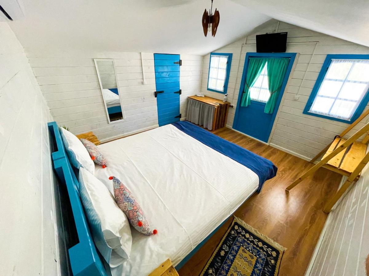 Manu B&B Murighiol Zewnętrze zdjęcie
